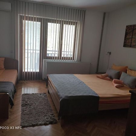 Aparthotel Vila Cair Doplata Za Bazen à Sokobanja Extérieur photo